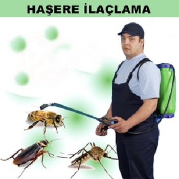 Hopa Böcek İlaçlama